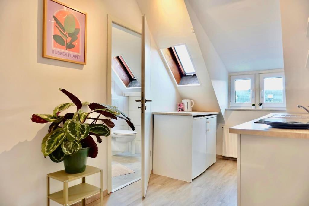 Neu I Moderne Zentrale Wohnung I Netflix I 4 Gaeste Andernach Ngoại thất bức ảnh